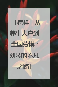 榜样｜从养牛大户到全国劳模：刘琴的不凡之路