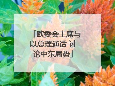 欧委会主席与以总理通话 讨论中东局势