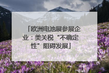 欧洲电池展参展企业：美关税“不确定性”阻碍发展
