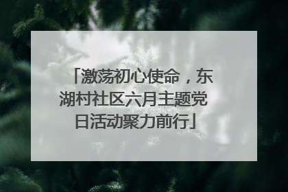 激荡初心使命，东湖村社区六月主题党日活动聚力前行