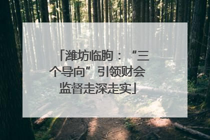 潍坊临朐：“三个导向”引领财会监督走深走实