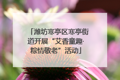 潍坊寒亭区寒亭街道开展“艾香童趣·粽情敬老”活动