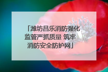 潍坊昌乐消防强化监管严抓质量 筑牢消防安全防护网