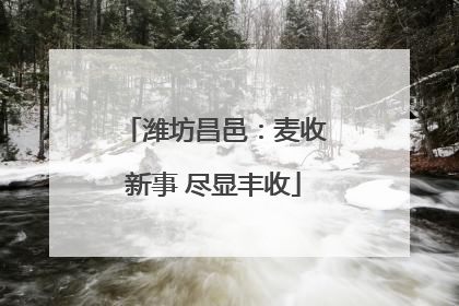潍坊昌邑：麦收新事 尽显丰收