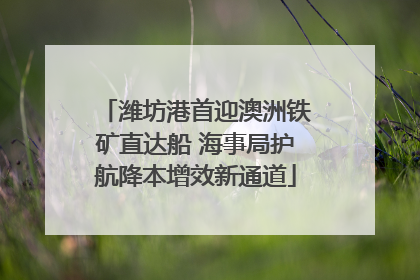 潍坊港首迎澳洲铁矿直达船 海事局护航降本增效新通道