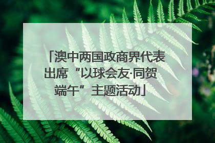 澳中两国政商界代表出席“以球会友·同贺端午”主题活动