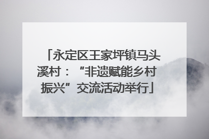 永定区王家坪镇马头溪村：“非遗赋能乡村振兴”交流活动举行