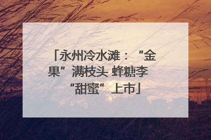 永州冷水滩：“金果”满枝头 蜂糖李“甜蜜”上市