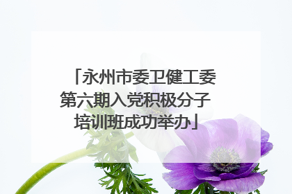 永州市委卫健工委第六期入党积极分子培训班成功举办