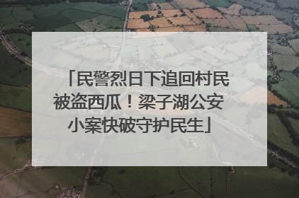 民警烈日下追回村民被盗西瓜！梁子湖公安小案快破守护民生