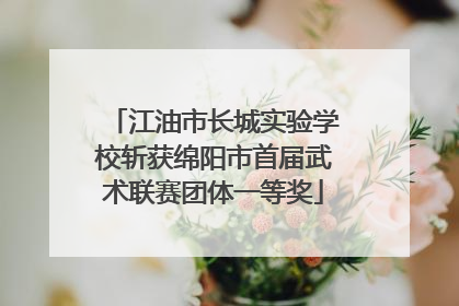 江油市长城实验学校斩获绵阳市首届武术联赛团体一等奖