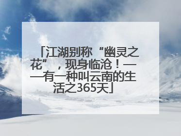 江湖别称“幽灵之花”，现身临沧！——有一种叫云南的生活之365天