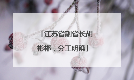江苏省副省长胡彬郴，分工明确