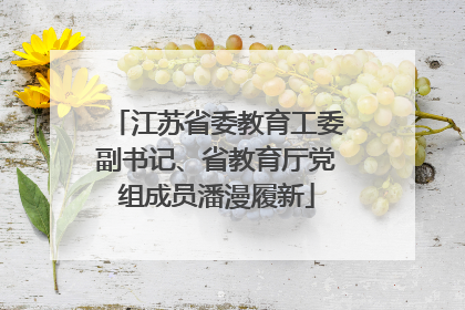 江苏省委教育工委副书记、省教育厅党组成员潘漫履新