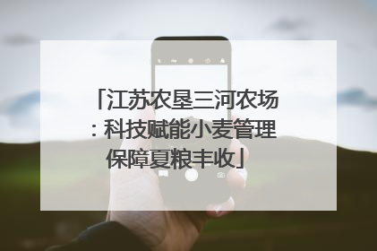 江苏农垦三河农场：科技赋能小麦管理保障夏粮丰收