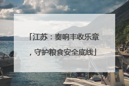 江苏：奏响丰收乐章，守护粮食安全底线
