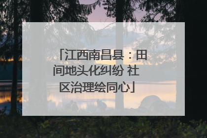 江西南昌县：田间地头化纠纷 社区治理绘同心