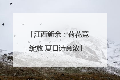江西新余：荷花竞绽放 夏日诗意浓