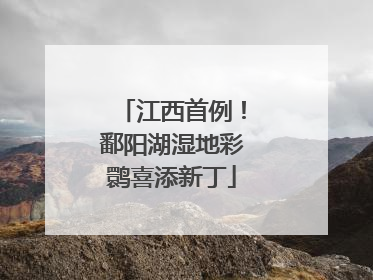 江西首例！鄱阳湖湿地彩鹮喜添新丁