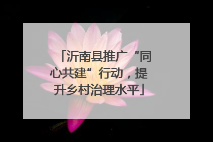 沂南县推广“同心共建”行动，提升乡村治理水平