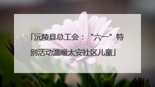 沅陵县总工会：“六一”特别活动温暖太安社区儿童