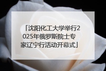 沈阳化工大学举行2025年俄罗斯院士专家辽宁行活动开幕式
