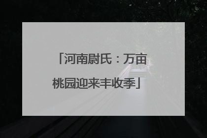 河南尉氏：万亩桃园迎来丰收季