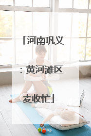 河南巩义：黄河滩区麦收忙