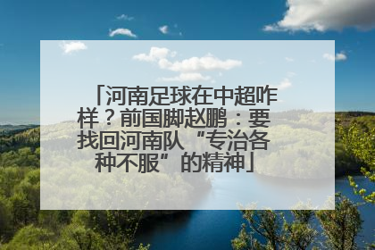 河南足球在中超咋样？前国脚赵鹏：要找回河南队“专治各种不服”的精神