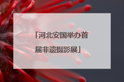 河北安国举办首届非遗摄影展