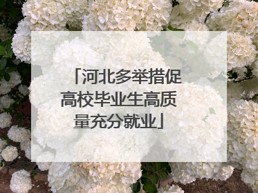 河北多举措促高校毕业生高质量充分就业