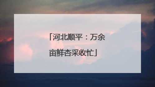 河北顺平：万余亩鲜杏采收忙