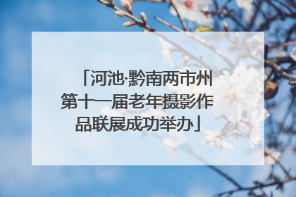 河池·黔南两市州第十一届老年摄影作品联展成功举办