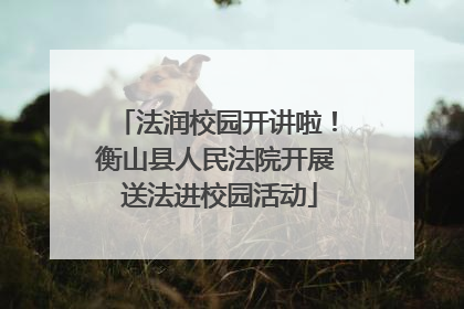 法润校园开讲啦！衡山县人民法院开展 送法进校园活动