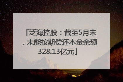 泛海控股：截至5月末，未能按期偿还本金余额328.13亿元