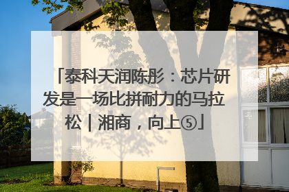 泰科天润陈彤：芯片研发是一场比拼耐力的马拉松｜湘商，向上⑤