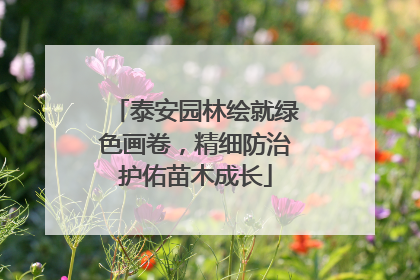 泰安园林绘就绿色画卷，精细防治护佑苗木成长