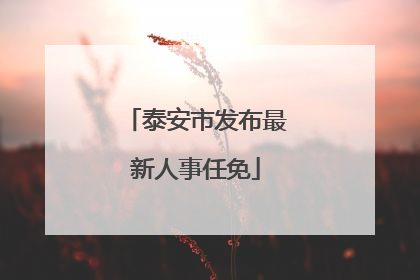 泰安市发布最新人事任免