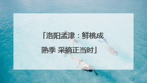 洛阳孟津：鲜桃成熟季 采摘正当时