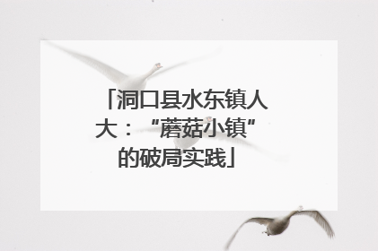 洞口县水东镇人大：“蘑菇小镇”的破局实践