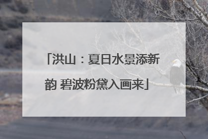 洪山：夏日水景添新韵 碧波粉黛入画来