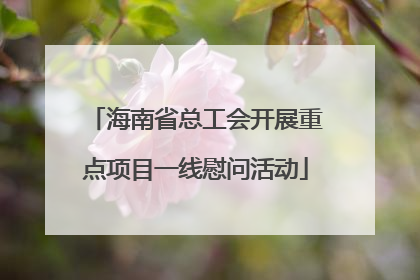 海南省总工会开展重点项目一线慰问活动