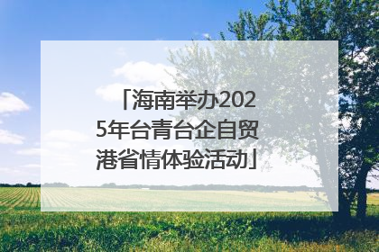 海南举办2025年台青台企自贸港省情体验活动