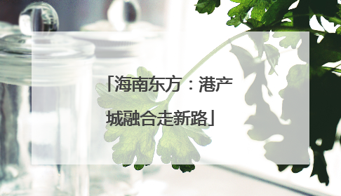 海南东方：港产城融合走新路