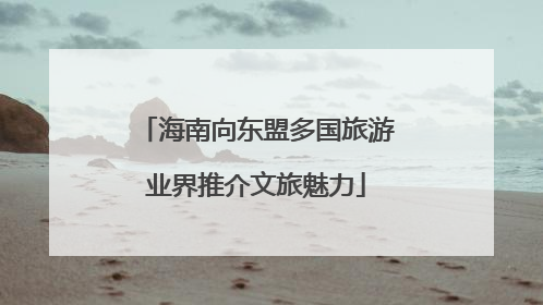 海南向东盟多国旅游业界推介文旅魅力