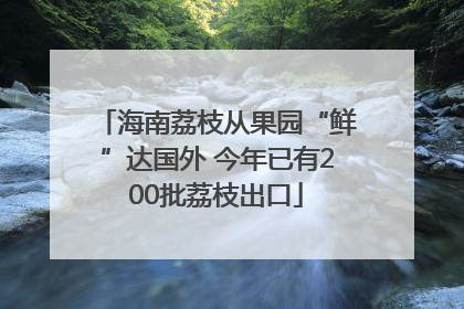 海南荔枝从果园“鲜”达国外 今年已有200批荔枝出口