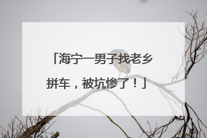 海宁一男子找老乡拼车，被坑惨了！