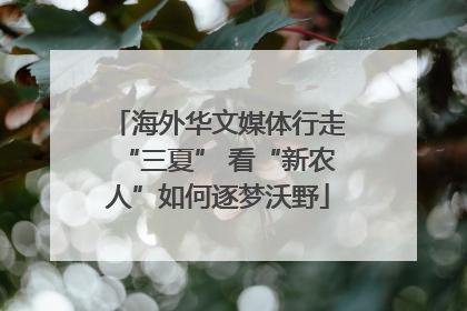 海外华文媒体行走“三夏” 看“新农人”如何逐梦沃野