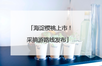 海淀樱桃上市！采摘游路线发布