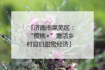 济南市莱芜区：“樱桃+”激活乡村夏日甜蜜经济